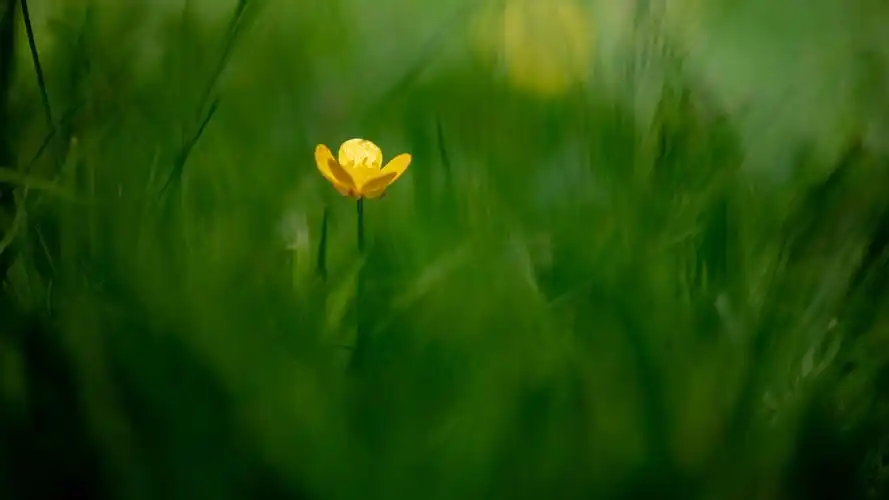 21m上传时间:2020-06-16壁纸标签:护眼4k壁纸封面图护眼壁纸【258】