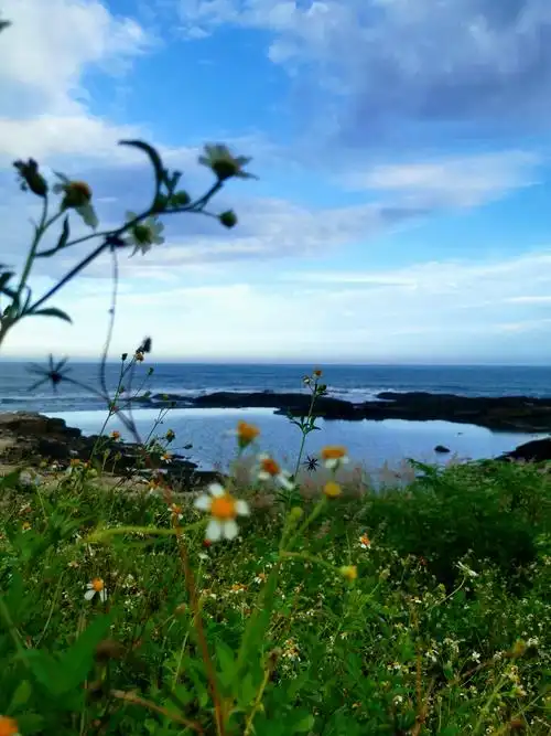 大自然的绝美风景