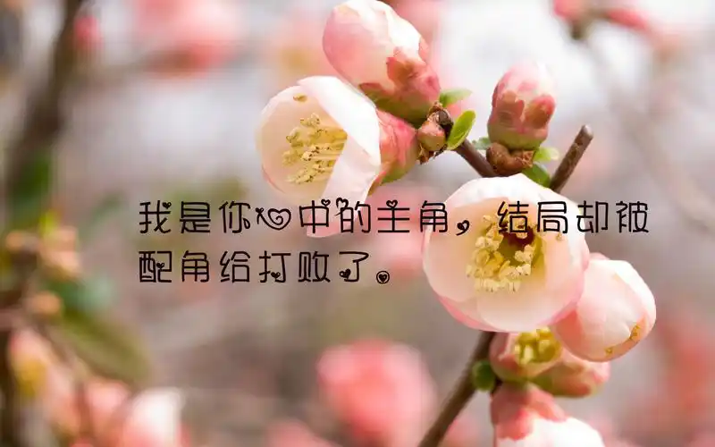 心痛心凉了的说说图片