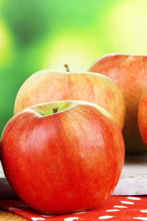 新鲜的红苹果,水果摄影,绿色背景 4k