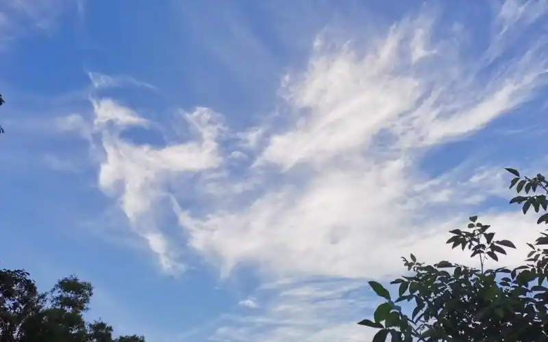 你也喜欢天空吗