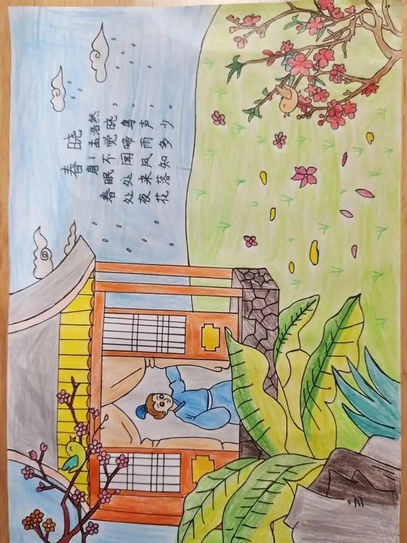 古诗配图 ——春晓