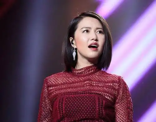 摇滚范女将   怀疑对象:张惠妹 纪敏佳 谭维维