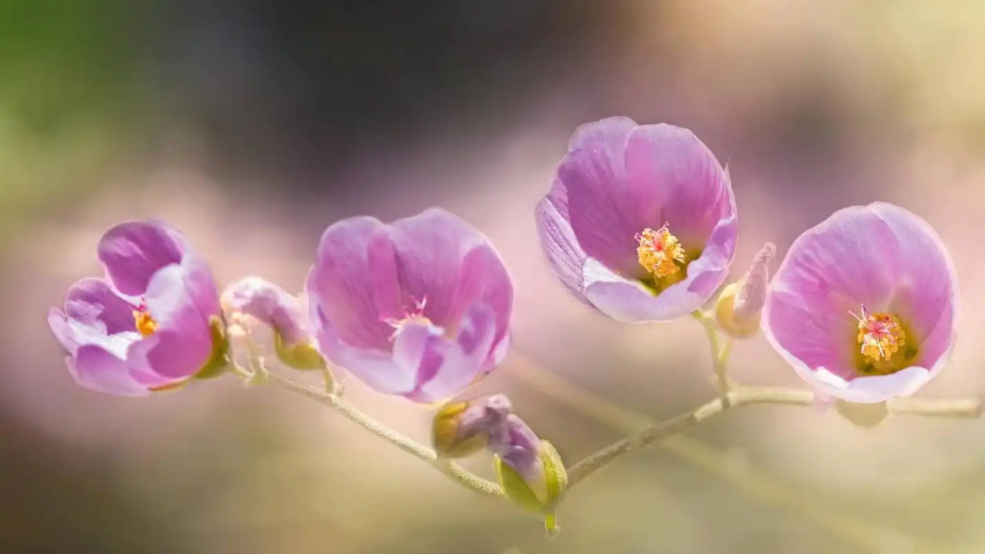 朋友圈点赞最多的正能量句子,简单干净,你最喜欢哪一句?