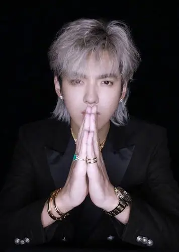 组图:娱乐圈最火发型!鹿晗吴亦凡蔡徐坤千玺等都挑战过