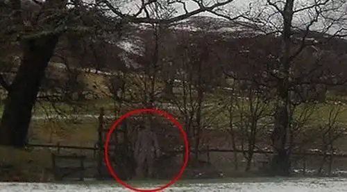 英男子拍到鬼魂 专家证实照片未经电脑处理