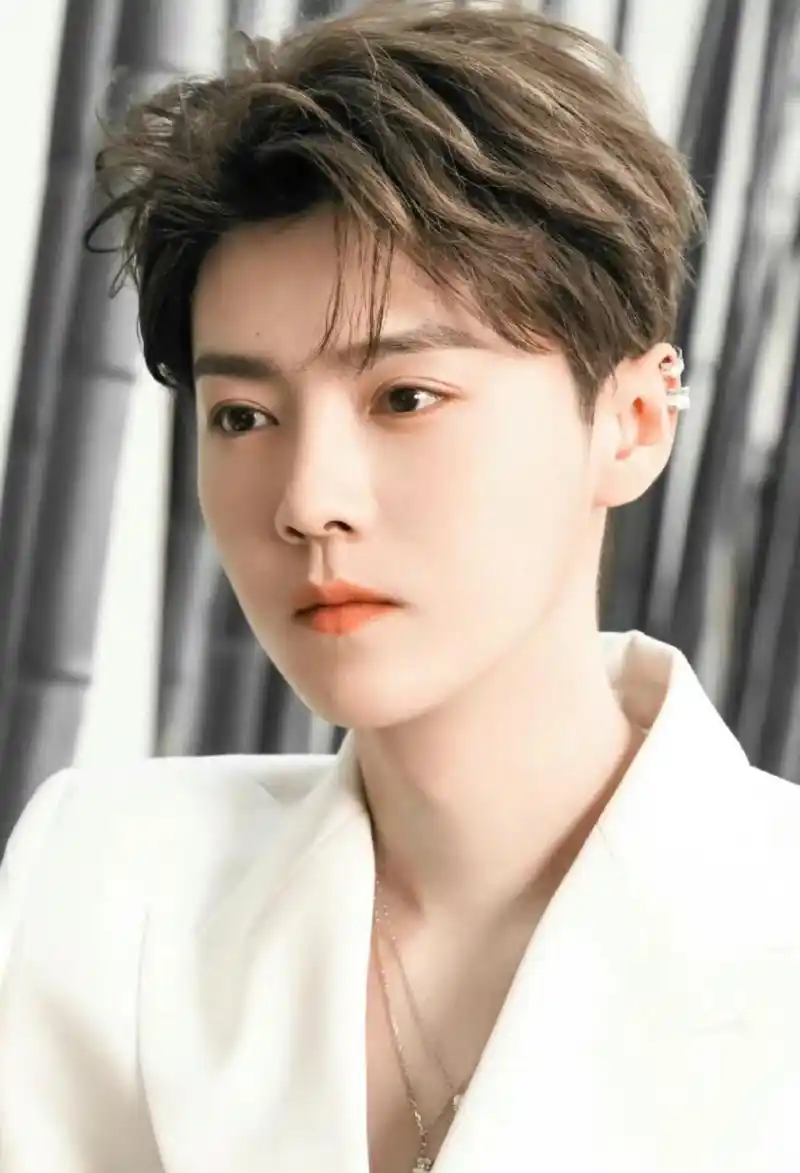 鹿晗# #鹿晗演唱会# #神仙颜值# #神颜# #小奶狗# #音乐#  #偶像