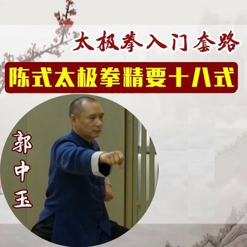 陈式太极拳精要十八式陈氏18式入门武术世界郭中玉教学dvd光盘碟