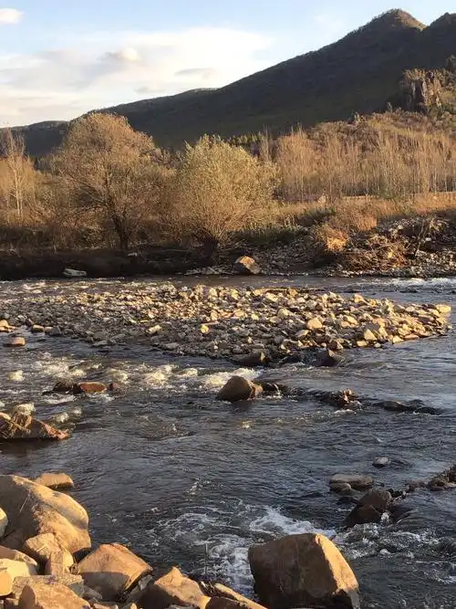 部分写生素材照片集锦图稿