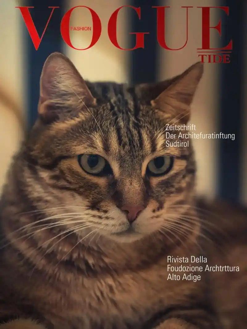 显眼包荣登时尚杂志封面96.