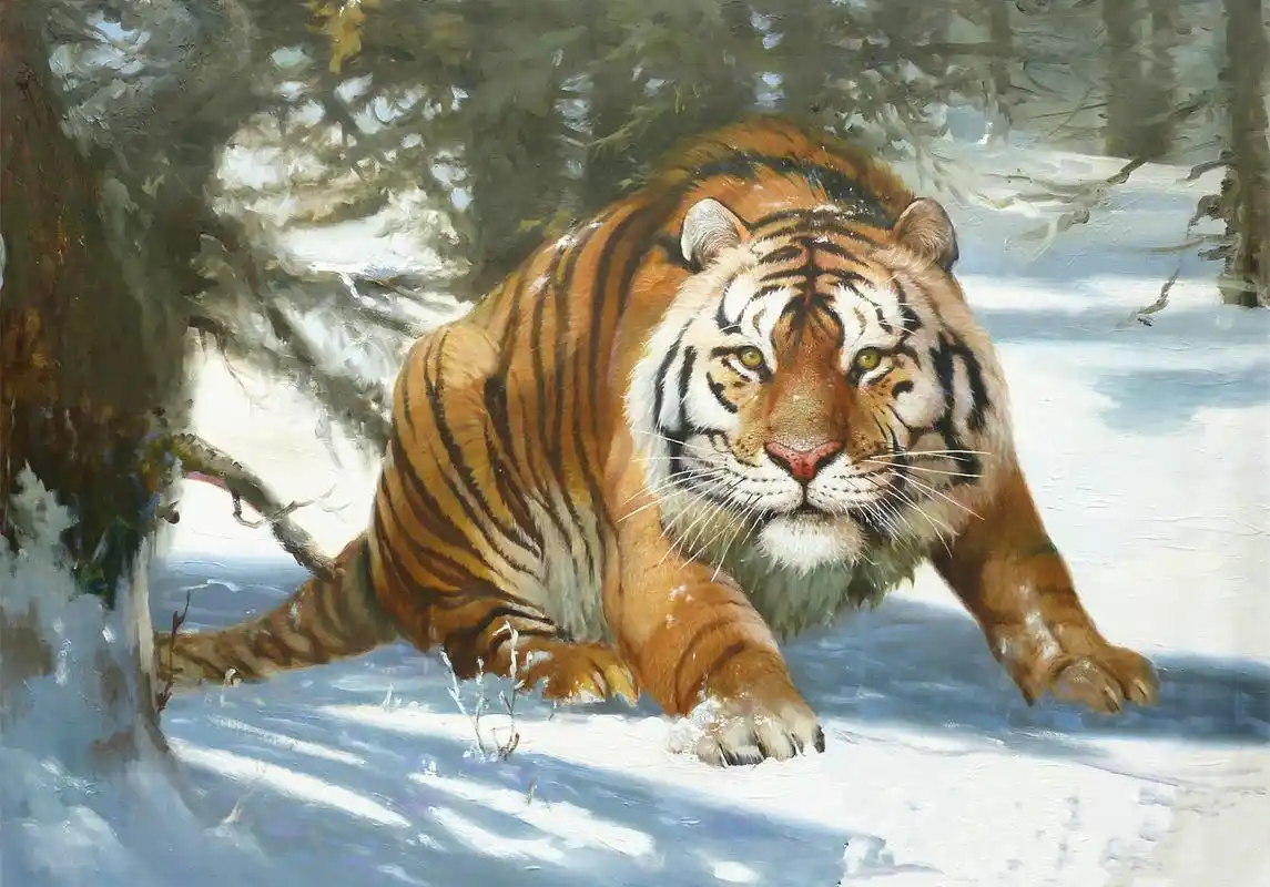 威猛老虎摄影壁纸_霸气老虎强势来袭