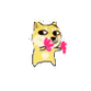 扔狗doge表情包