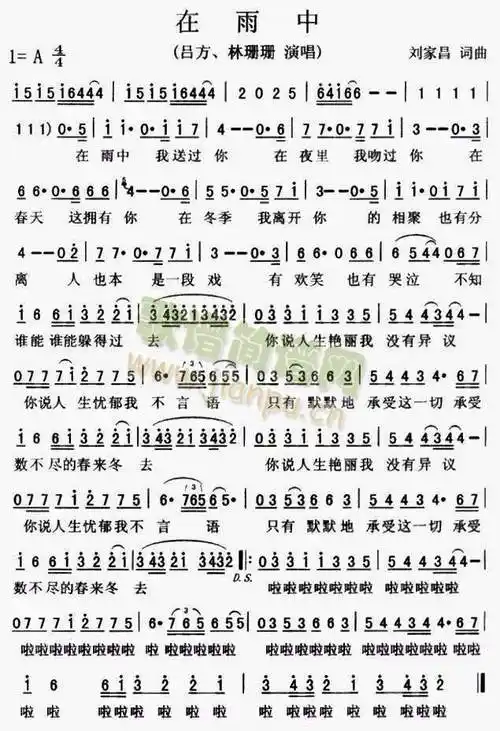 在雨中 歌谱简谱网
