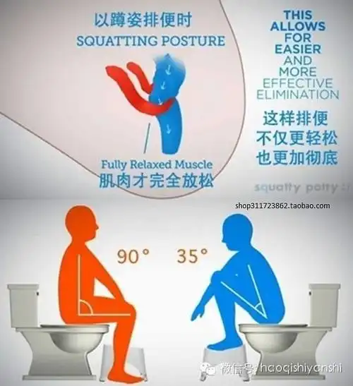 怎么样改坐厕为蹲厕?——马桶如何让你坐出一身病