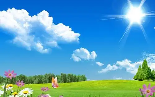 夏天的阳光,高清壁纸图片,风景矢量-回车桌面