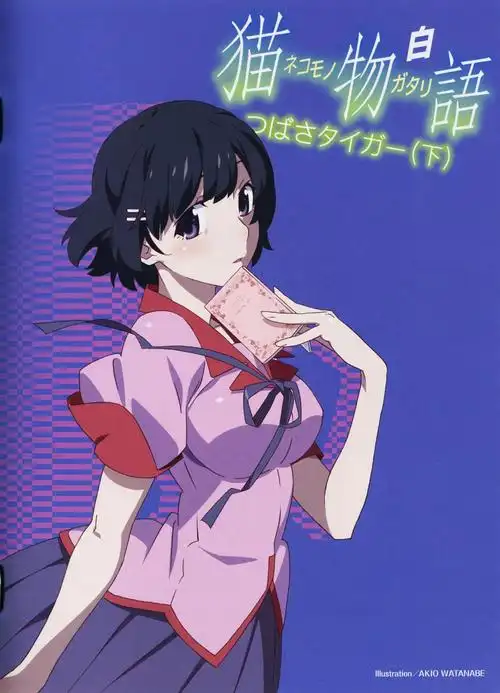 《物语系列》篇章,海报,剧照全记录(化物语)剧评