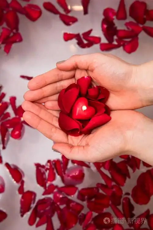 亲密的女人手里拿着红色的玫瑰花瓣自护家情人节惊喜