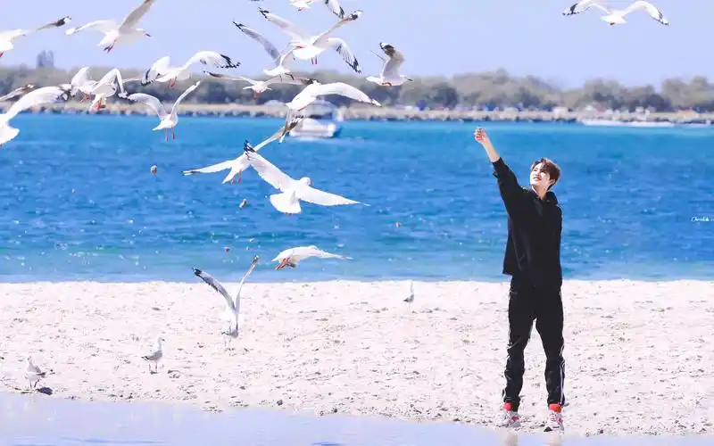 181201朱正廷k站上海百盛应援打卡