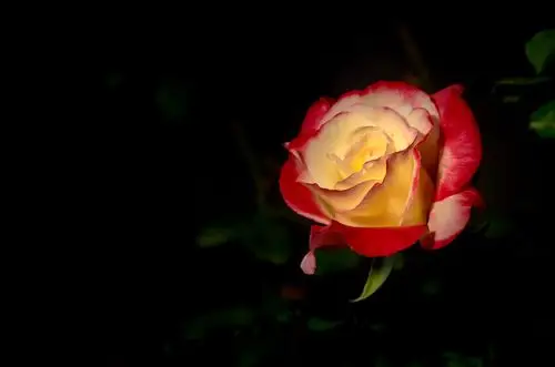 实用至上 深入本质掌握用光基础要领 拍出好看照片