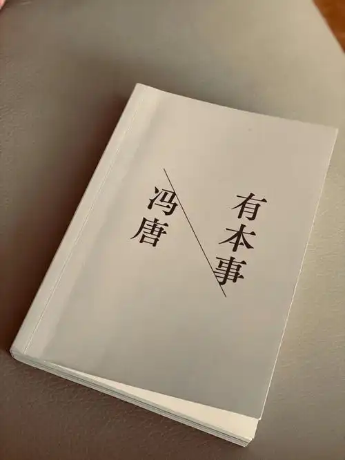 爷们适合读的好书冯唐有本事