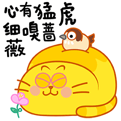 2020年最新最火爆的卡通蛋黄猫表情包,小伙伴们应该都知道吧.