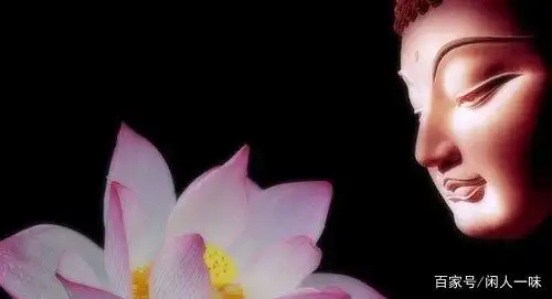 一朵莲花开世界,缘来君是佛前身. 举报/反馈