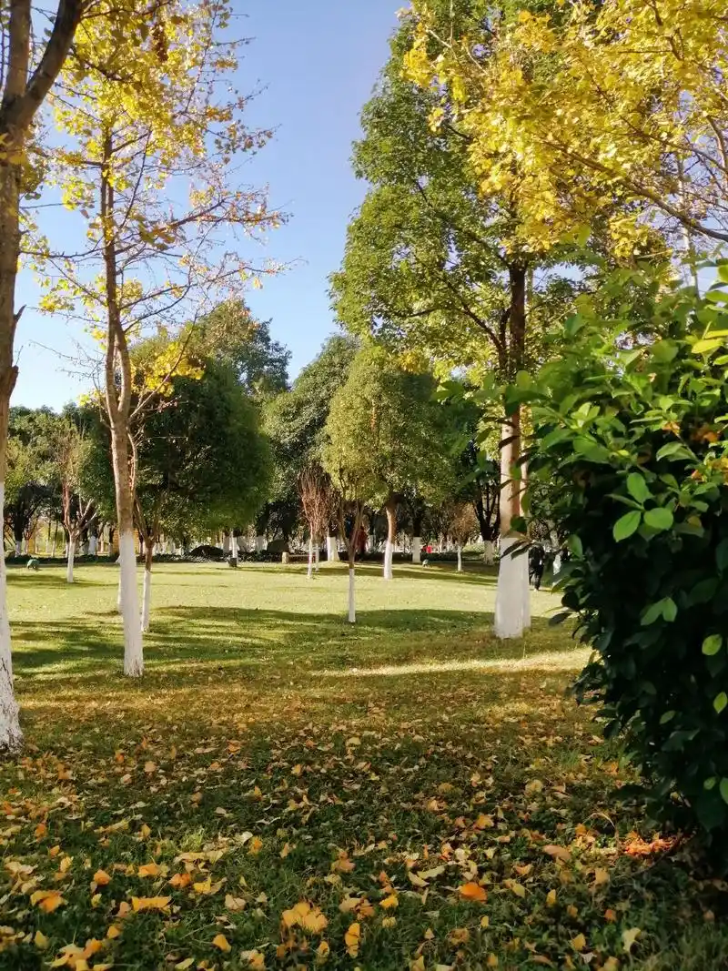 阳光明媚,享受唯美的时光! - 抖音