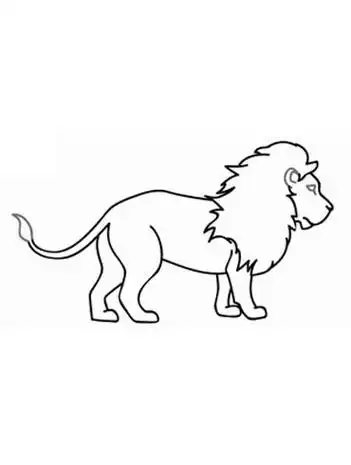 美洲狮简笔画步骤图狮子简笔画怎么画狮子简笔画图片狮子是权威与力量