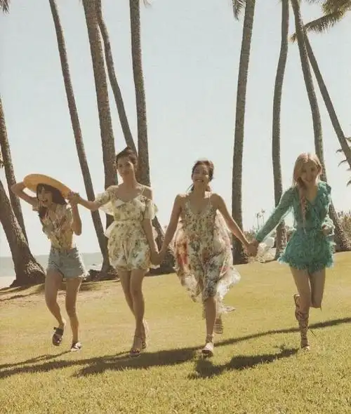 blackpink女团成员有lisa,jennie(金珍妮),rose和jis