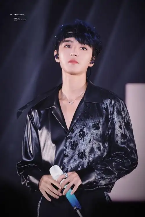 王俊凯十周年演唱会单人机位