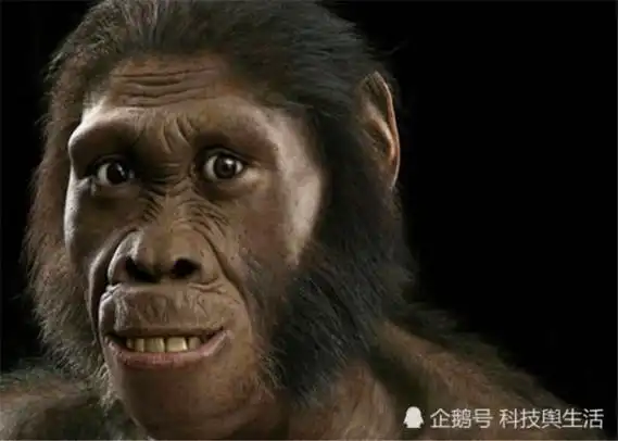 到目前为止,世界上存在四大人中,分别是黄种人,黑种人,棕种人和白种人