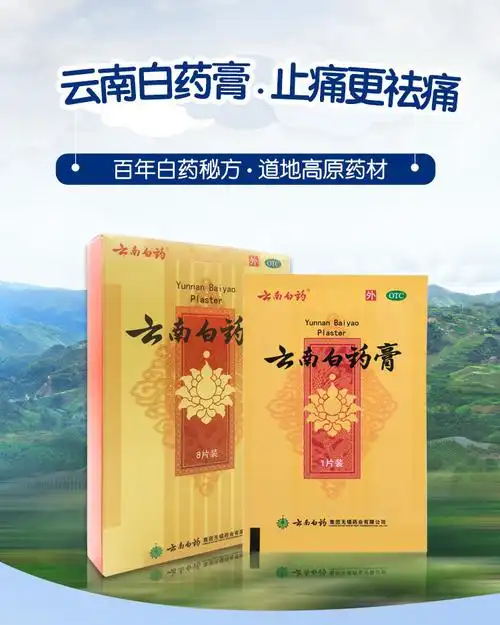 云南白药膏药贴 跌打损伤 祛风湿腰痛 10贴