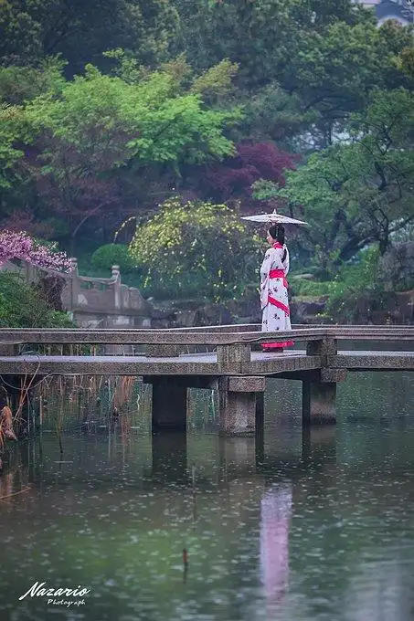 春之女神雨中游太仓道不尽的烟雨江南