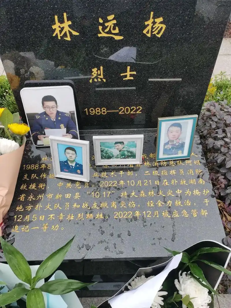 铭记共和国每一位烈士 为了祖国为了人民舍生忘死 赴汤蹈火 竭 - 抖音