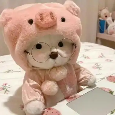 可爱情侣头像,萌宠加萌布娃娃合集