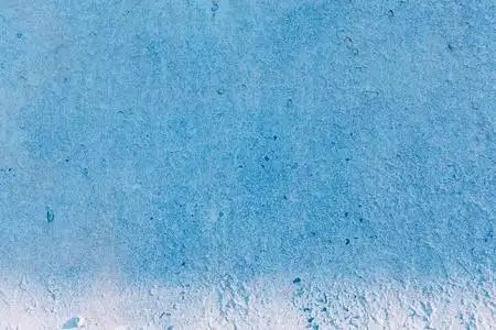 的背景四个蓝眼睛铜和光红沙哑只小狗在木地板和灰蓝色背景上青苹果