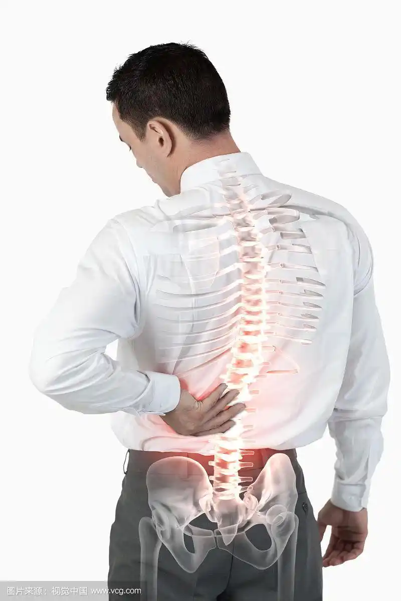突出了背部疼痛的男人的脊柱