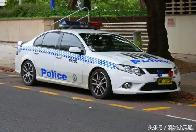 澳大利亚警车集锦大排量豪车的饕餮盛宴