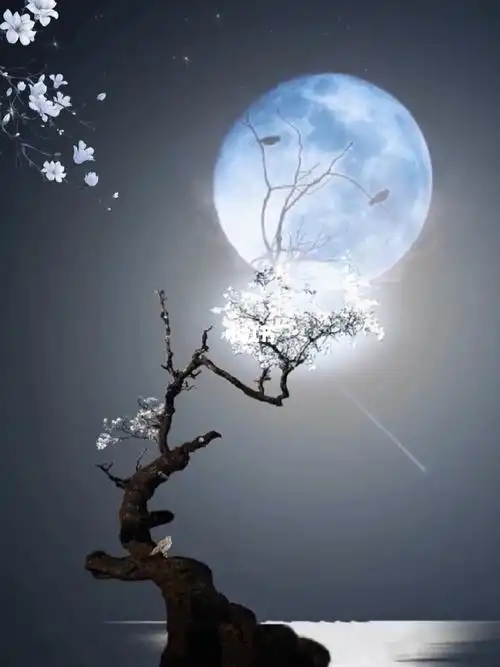 第九十九期古风夜景唯美治愈系动态壁纸