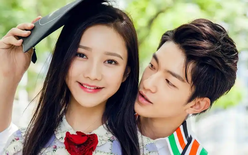 我的朋友陈白露小姐cp虐狗图片电脑壁纸