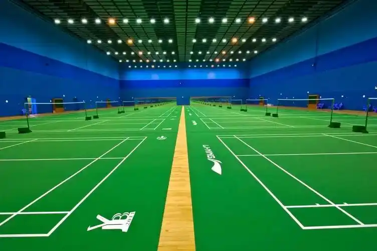 一流的羽毛球场馆