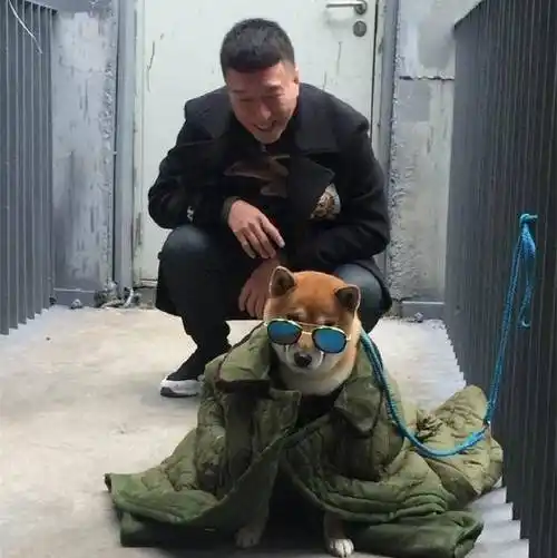 罗志祥_极限挑战_时候