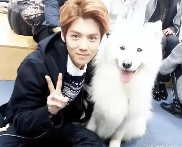 34岁鹿晗带货引热议,脸肿成"老姐姐",意外撞脸65岁刘雪华