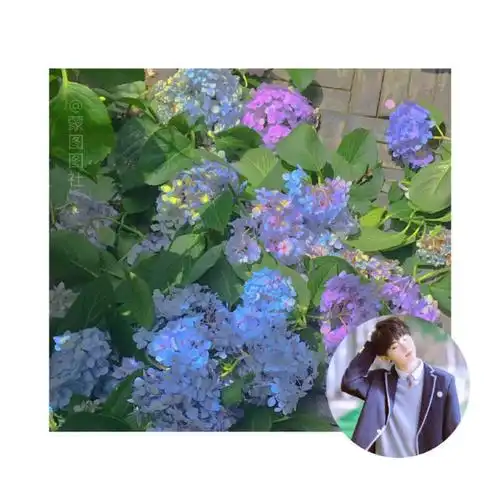 马嘉祺头像背景图分享二