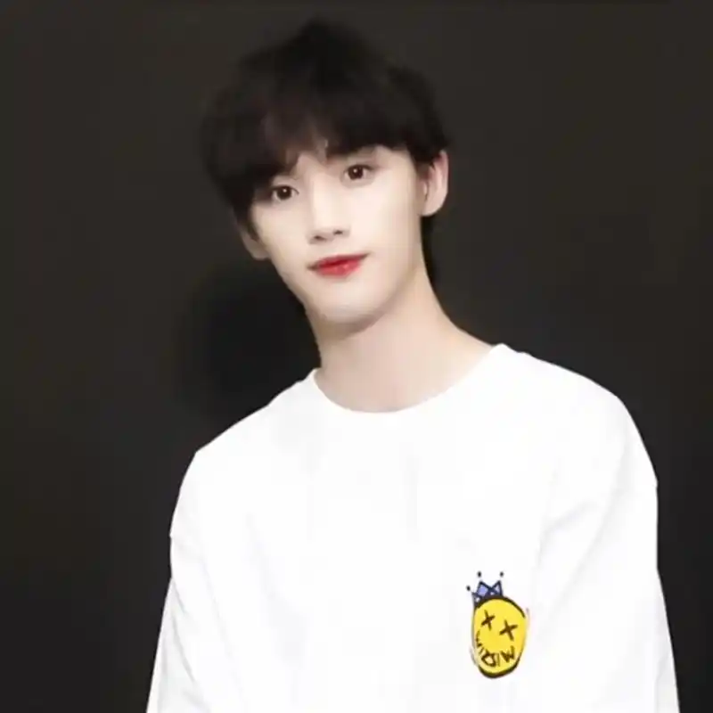 爱豆头像tnt时代少年团丁程鑫