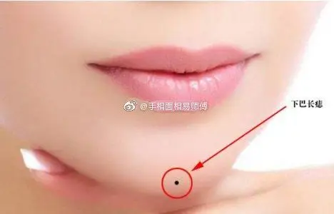 n向右旋转m向左旋转f查看大图k收起鼻梁长痣,这类人是事业型的女强人