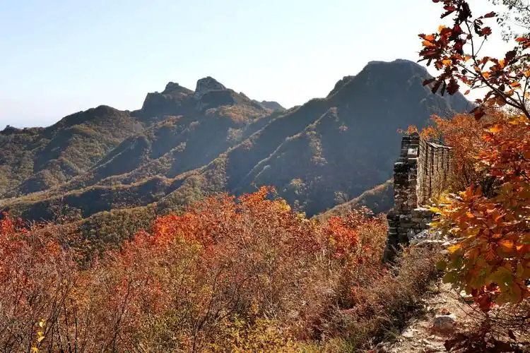 九眼楼长城&箭扣长城秋色