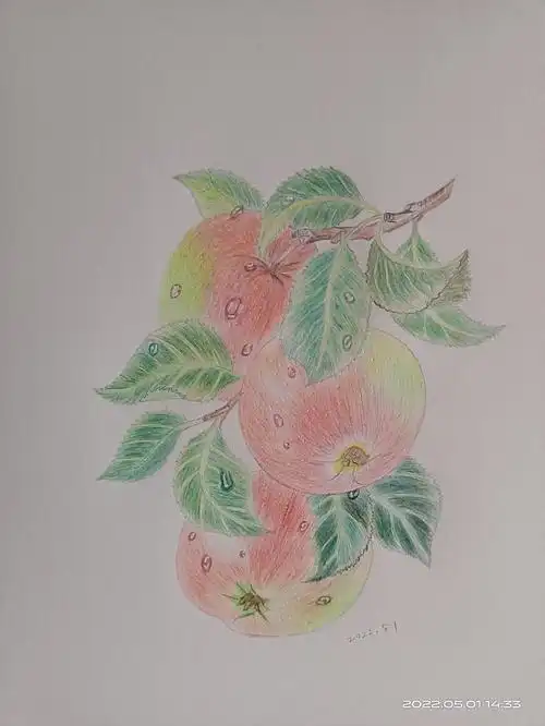 临摹  #彩铅画  #辉柏嘉72色水溶性彩铅 :428 492 409 466 426 421