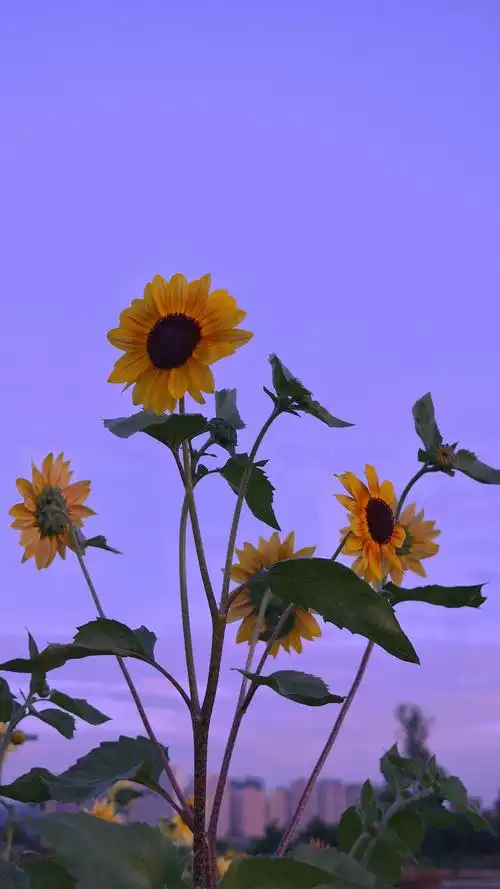宇宙太空奇幻高清手机壁纸