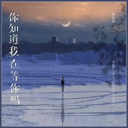 洛先生_高音质在线试听_你知道我在等你吗歌词